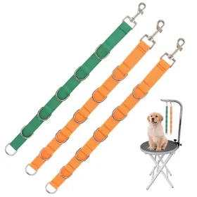 17035874188710 PILARMUTURE Pet Rings Leash Groom