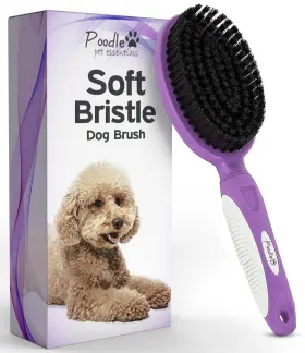 744111017860 POODLIE Bristle Dog Brush Haired Cats Firm
