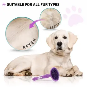 851875008147 POODLIE Round Bristle Pet Brush Cats Dog #2