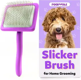 445022619664 POODOODLE Dog Slicker Brush Tool Poodle Doodle