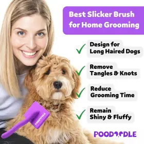 768461463535 POODOODLE Dog Slicker Brush Poodles Doodles #2