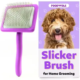 768461463689 POODOODLE Poodle Doodle Slicker Brush Massage