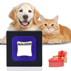 762949722893 PRAPIROON Pet Hair Removal Tool Dog Cat Square