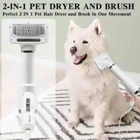 136529100746 PRETTYFIRST Dog Hair Dryer Blow Pet #2
