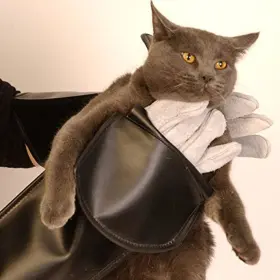 873195001097 PUPPY PARADISE Animal Handling Gloves Proguard
