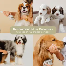 196852975334 PUPWELL Slicker Brush Dog Prevent Matting Wit #3