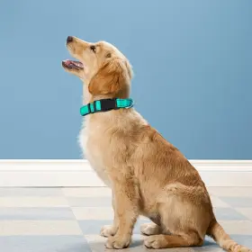 749379422623 PWOD Reflective Dog Collar Padded Pet #2