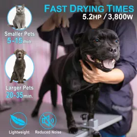 721352458348 QUALITY ENVY Dog Hair Dryer #2