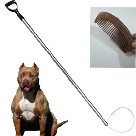 RACP01 REAYEAXN Animal Control Pole Handmade Pet Massage Comb