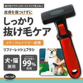 595317686109 REFURESH Pet Hair Loss Removal Brush Refresh #2
