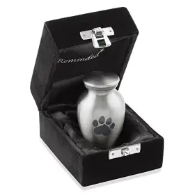 842364129177 REMINDED Pet Cremation Dog Cat Ashes Memorial