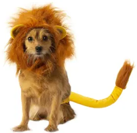 082686056557 RUBIES Disney Lion King Pet Costume Set Simba