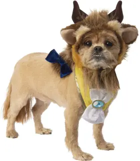 082686056991 RUBIES Disney Beauty Beast Pet Costume Set
