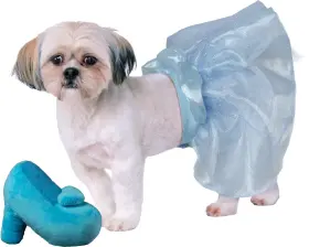 195884047828 RUBIES Disney Princess Cinderella Pet Tutu Toy