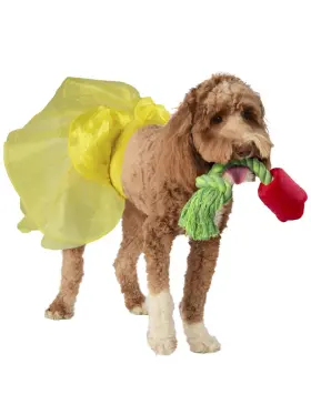 195884047842 RUBIES Disney Princess Belle Tutu Toy