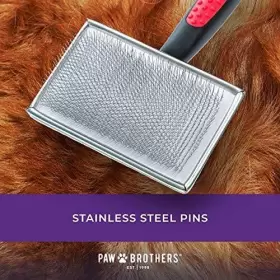 638412311072 RYANS PET SUPPLIES Paw Brothers Flat Slicker #3
