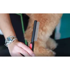 638412313083 RYANS PET SUPPLIES Paw Brothers Flea Comb Dogs #3