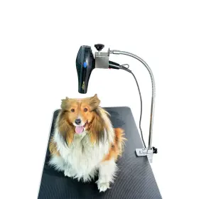 384532032120 SHELANDY Pet Dog Table Arms Hair Dryer Holder Wi