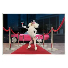 197658073552 STUPELL INDUSTRIES Funny Carpet Poodle Wall Art