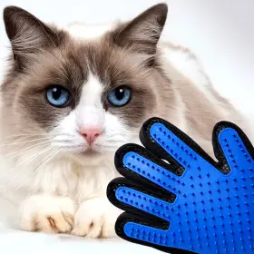445015748760 SUPREME-GOODSOUTLET Pet Hair Remover Gloves Cat #2