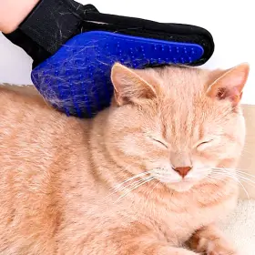 445015748760 SUPREME-GOODSOUTLET Pet Hair Remover Gloves Cat #3