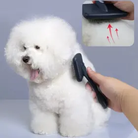 445033650625 SUPREME-GOODSOUTLET Dog Comb Brush Massage Cat #3