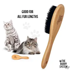 677120888643 THE BUDDY SYSTEM Cat Brush Boar Bristle Wooden #3