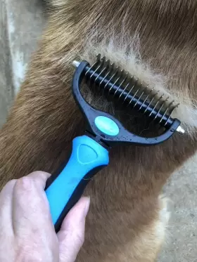 659408368894 THSTHEAVEN Pet Brush Nail Clippers Trimmers #2