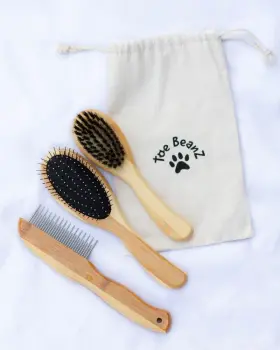 198715998269 TOE BEANZ Cat Brushes Kitten Brush Kit