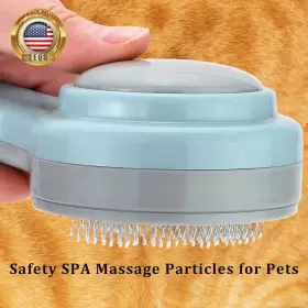 2020-11-11 CAT Brush Cleaning Slicker Brushes #2