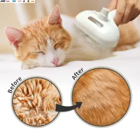 313056995900 USA-VIRALFINDS Spray Cat Brush Shedding Steam #3