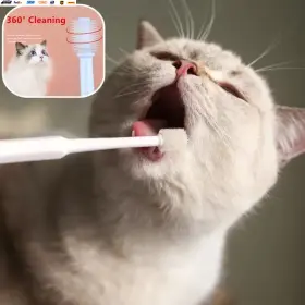445045876839 USA-VIRALFINDS Cat Toothbrush Hair Brush Mouth #2