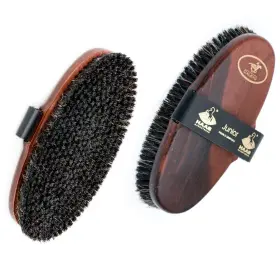 5010104 USG Haas Junior Brush