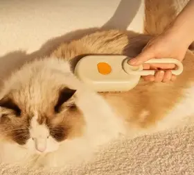 796520396166 VETRAZI Cat Steam Brush Rechargeable Anti