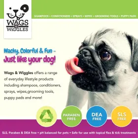 742797801193 WAGS WIGGLES Brush Haired Dogs Bristle Straight #2