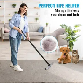 313057024012 WANJOTEC Carpet Rake Pet Hair Removal Dog Cat #2
