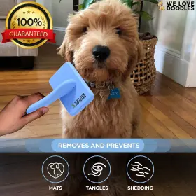 726084313637 WE LOVE DOODLES Dog Slicker Brush Pet Hair Poodl #3