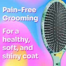 736658591897 WET BRUSH Pet Hair Dog Breed Detangler Camo #3