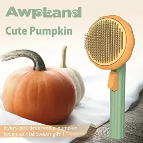 AW-C-201 XH PET Cat Brushes Cleaning Brush Shedding Pumpkin #3