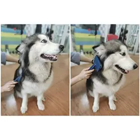 740727369188 YIKUN Dog Slicker Brush Haired Labradoodles #2