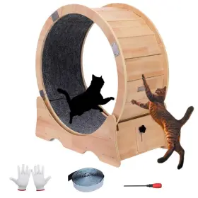 616612637802 ZYDDNH Cat Wheel Treadmill Exercise
