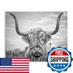 Stupell Industries Black And White Highland Cow Photograph Canvas Wall Art. Fixed Price $71.12.