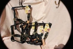 5 Pack - Nwt Bmb Horse Size Breakaway Safety Halter With Brass Hardware Black. Fixed Price $60.00.