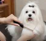 Rubbermaid Pet Grooming Comb Long Hair Dogs Shih Tzu Maltese Yorkie New. Fixed Price $12.99.