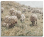 New Stupell Industries Rural Cattle Grazing Field Canvas Wall 16x20. Fixed Price $12.00.