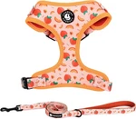 Dog Harn And Leash Set, Adjustable Harn, Leash, No Pull. Fixed Price $24.99.