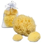 Constantia Pets Sea Sponges For Dogs - Luxury Canine Bath Care, Yellow. Fixed Price $24.18.