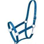 Tough 1 Turquoise Nylon Economy Horse Sized Halter Tack Equine 50-1701. Fixed Price $16.00.
