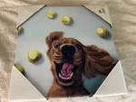 Stupell Industries Happy Smiling Pet Dog With Yellow Tennis Balls Wall Art, 1.... Fixed Price $34.99.
