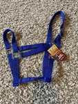 Tough 1 Royal Blue Nylon Horse Sized Economy Halter Tack Equine 50-1701. Fixed Price $12.00.